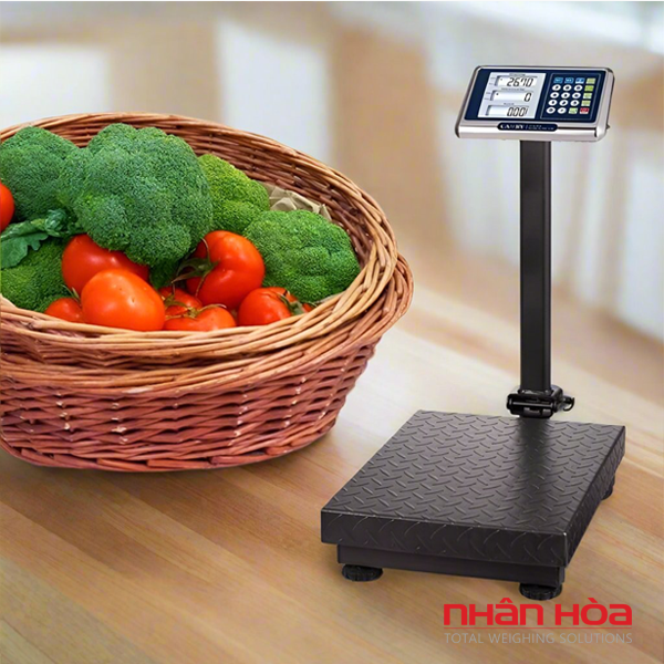 Cân điện tử 100kg