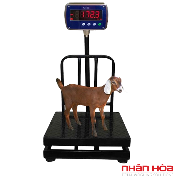 Cân điện tử 500kg