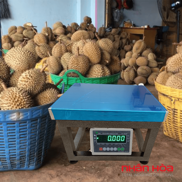 Cân điện tử 500kg