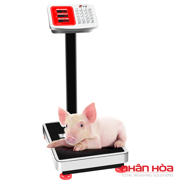 Cân điện tử 300kg