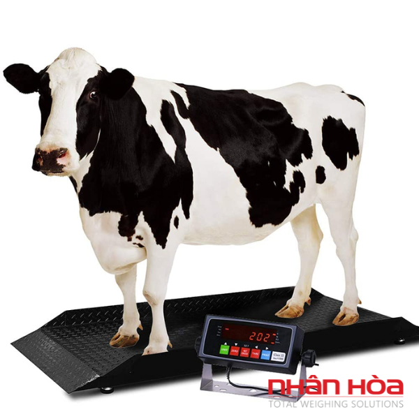 Cân điện tử 120kg