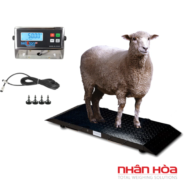 Cân điện tử 120kg