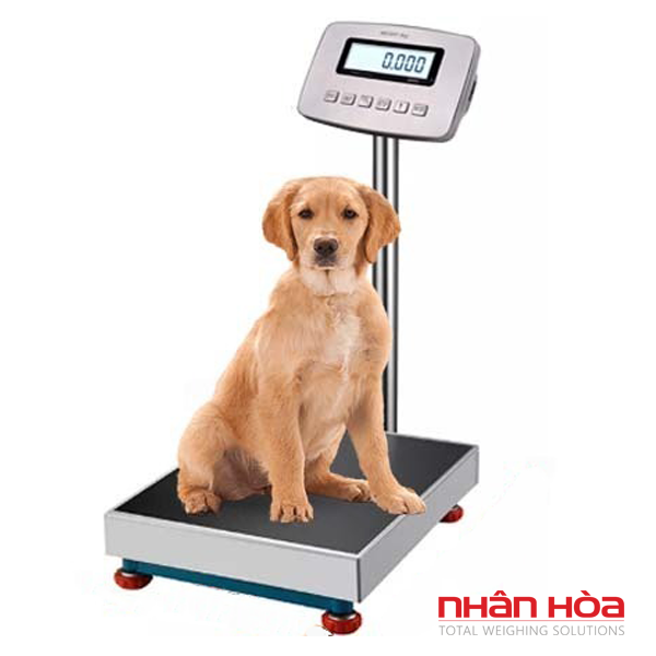 Cân điện tử 300kg