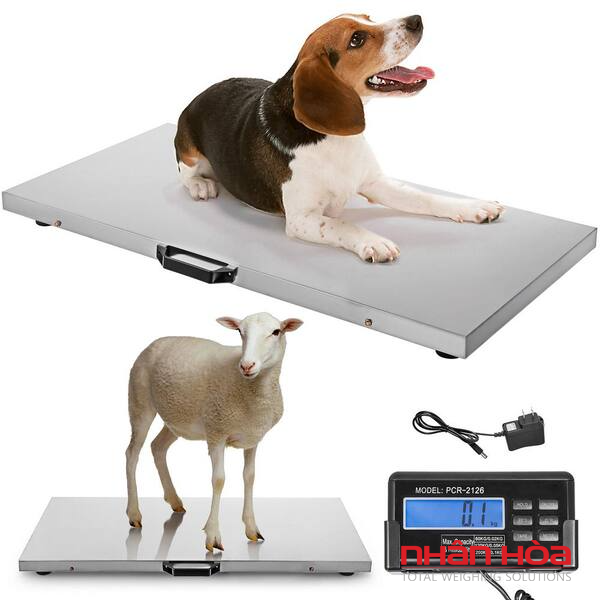 Cân điện tử 500kg