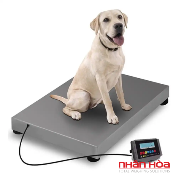 Cân điện tử 30kg