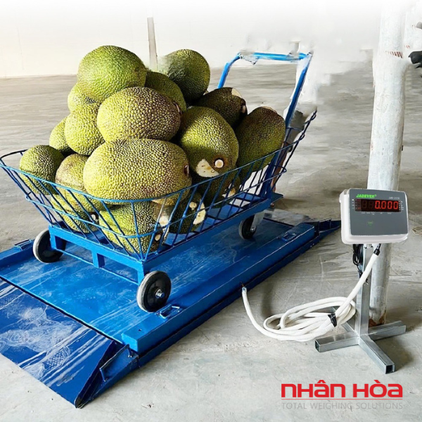 Cân điện tử 40kg