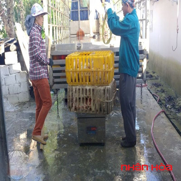Cân điện tử chống nước