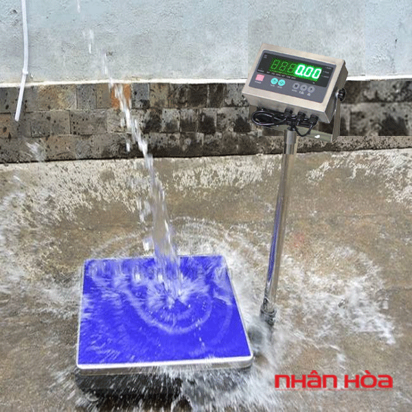Cân điện tử hải sản