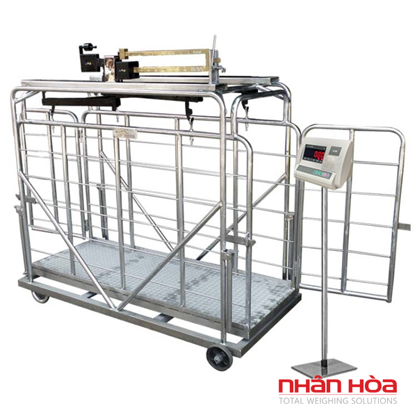 Cân bò điện tử