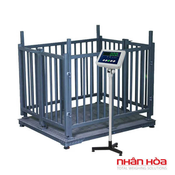 Cân bò điện tử