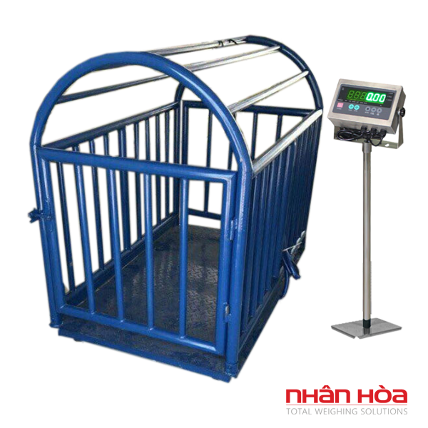 Cân bò điện tử