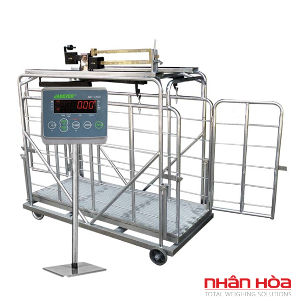 Cân bò điện tử