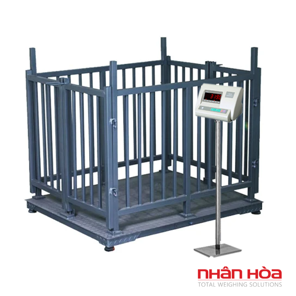 Cân bò điện tử