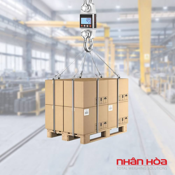 Cân điện tử 30 tấn