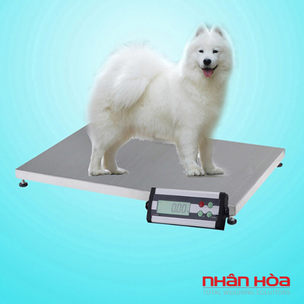 Cân điện tử 60kg