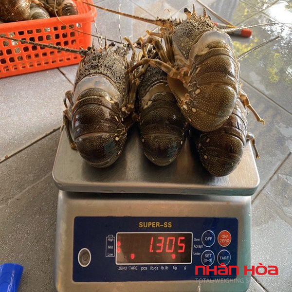 Cân điện tử 7kg