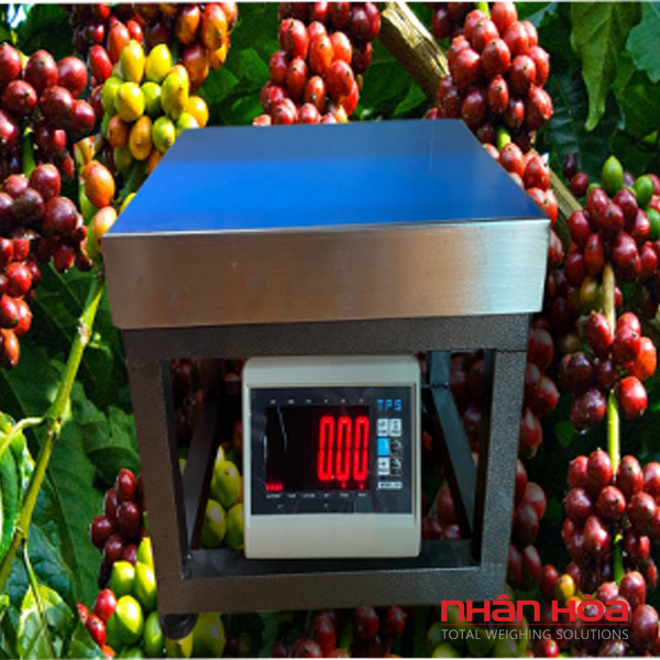 Cân điện tử 70kg