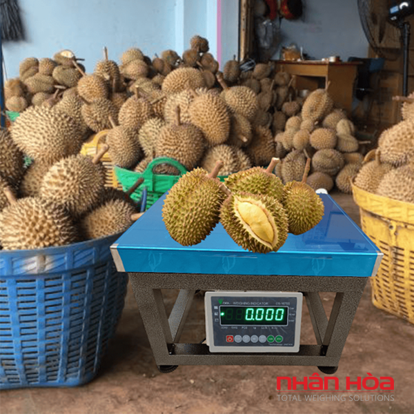 Cân điện tử 80kg