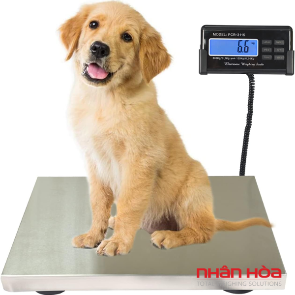 Cân điện tử 60kg