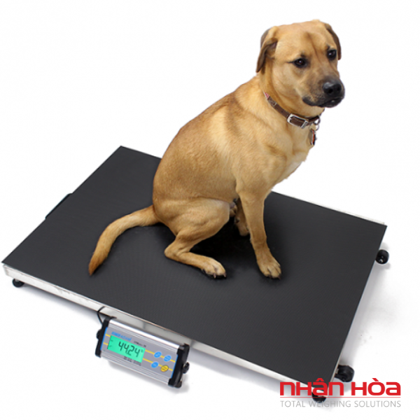 Cân điện tử 75kg