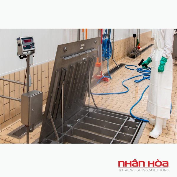 Cân điện tử 600kg
