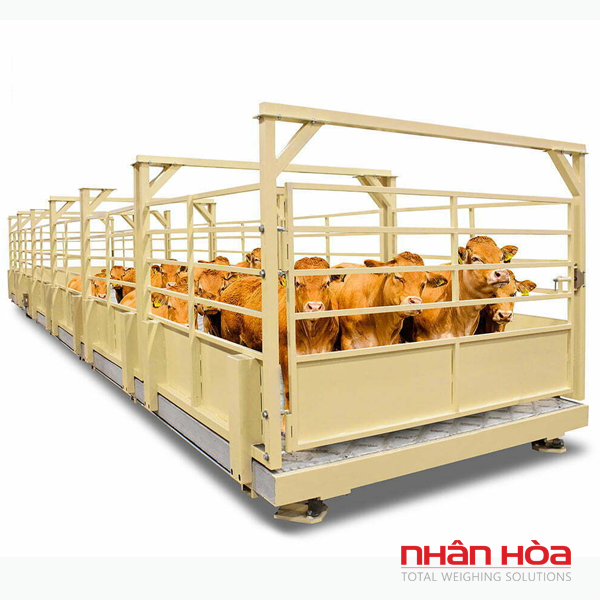 Cân điện tử 700kg
