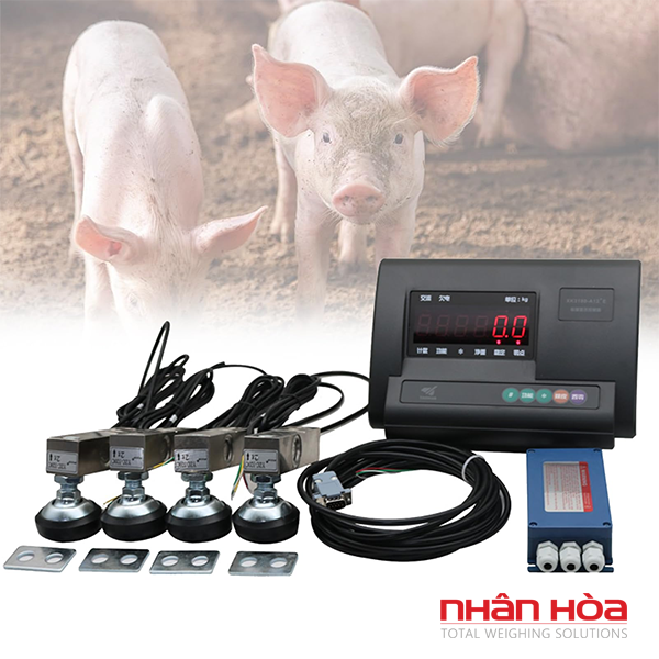 cân heo điện tử