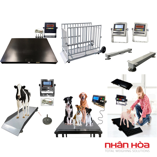 Cân điện tử 1 tấn