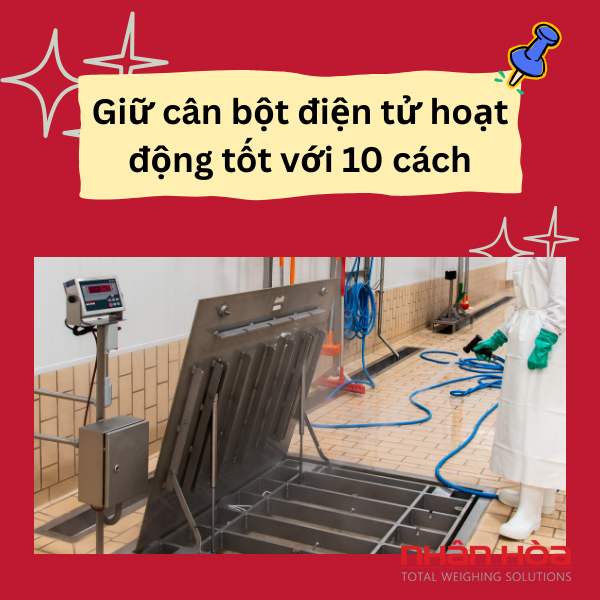 Cân bột điện tử