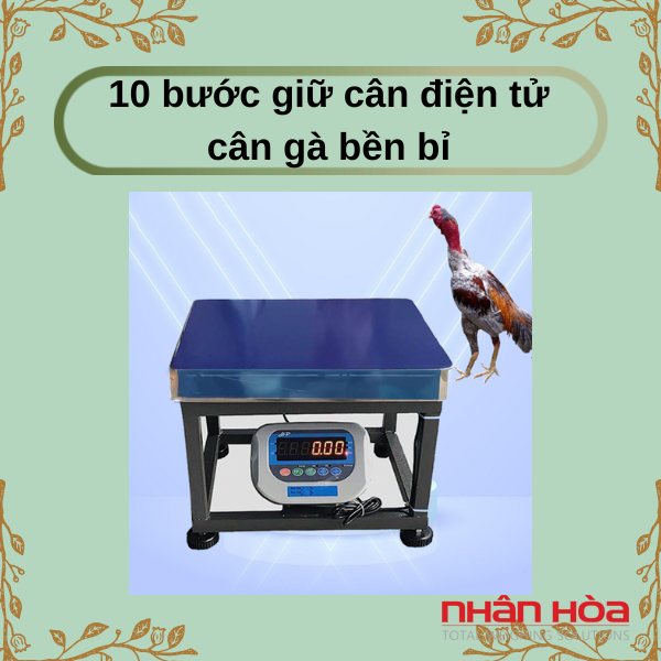 Cân điện tử cân gà