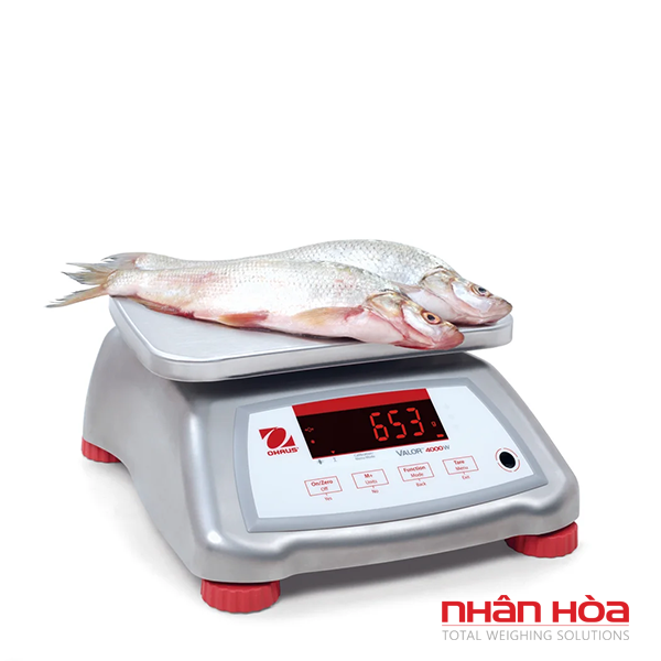Cân cá điện tử