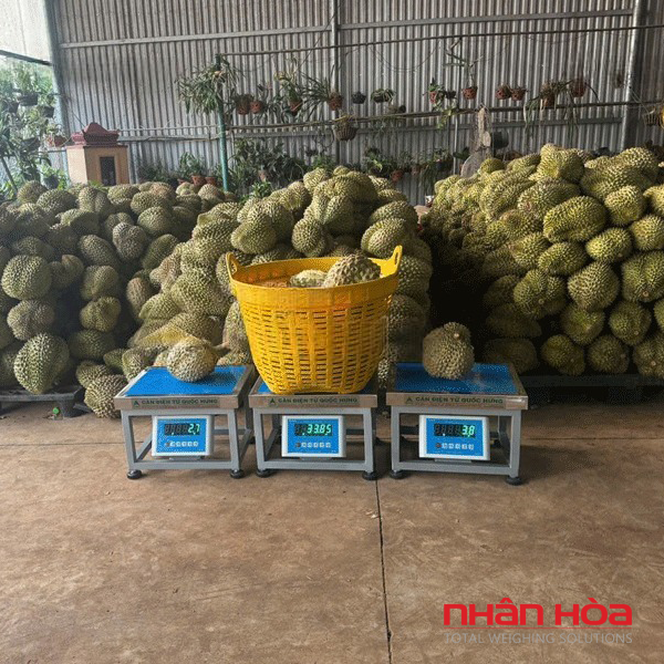 Cân điện tử bán hàng