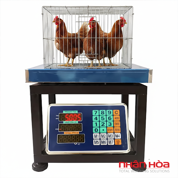 Cân điện tử cân gà