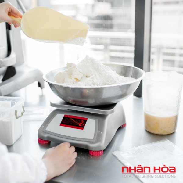 Cân điện tử cân hàng