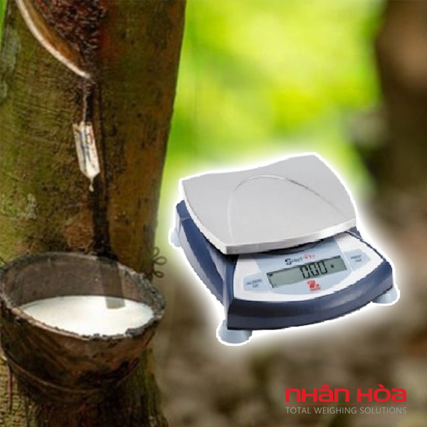 Cân điện tử đo độ mủ cao su