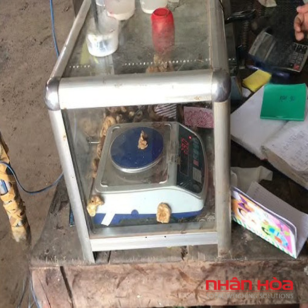 Cân điện tử đo độ mủ cao su