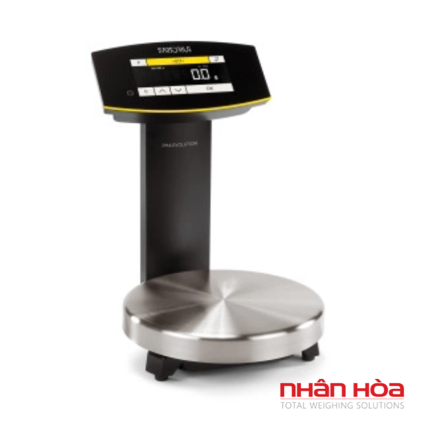 Cân điện tử pha sơn