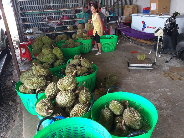 Cân điện tử thực phẩm