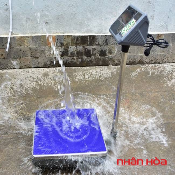 Cân điện tử thuỷ sản
