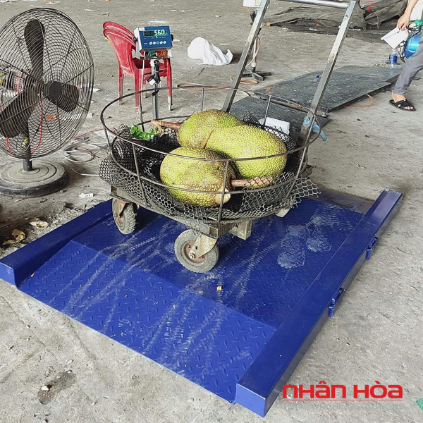 Cân hoa quả điện tử