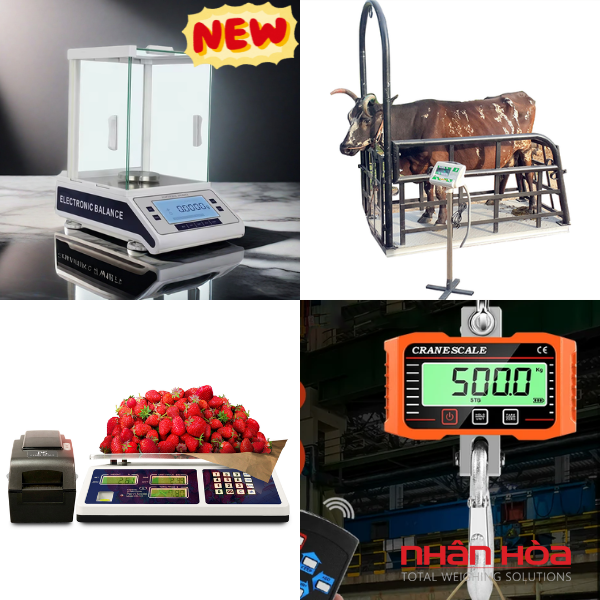 Cân điện tử Đồng Nai