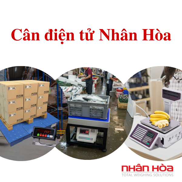 Cân điện tử Bình Dương