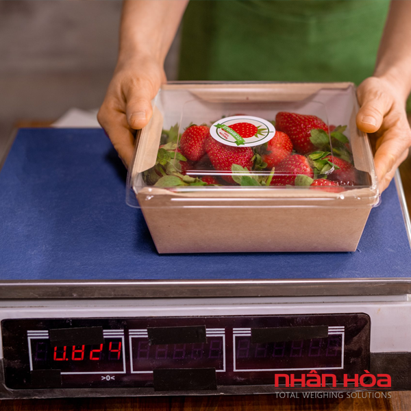 Cân điện tử Đà Lạt