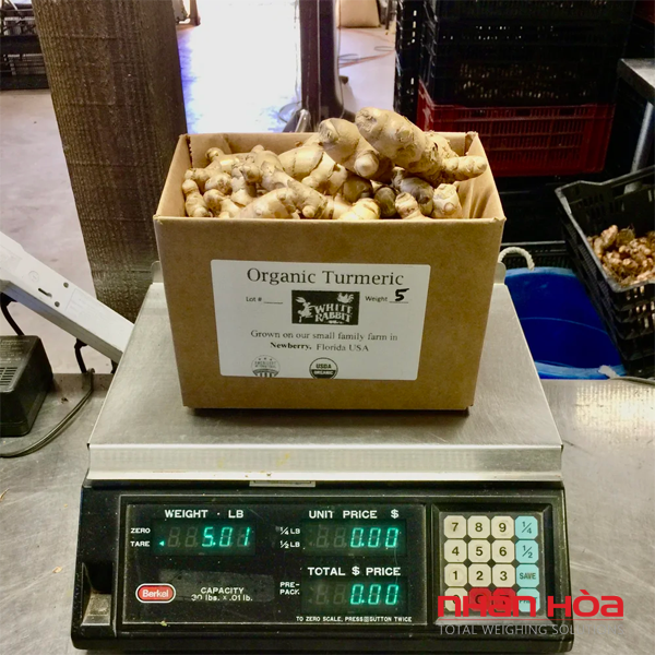 Cân điện tử Đà Lạt