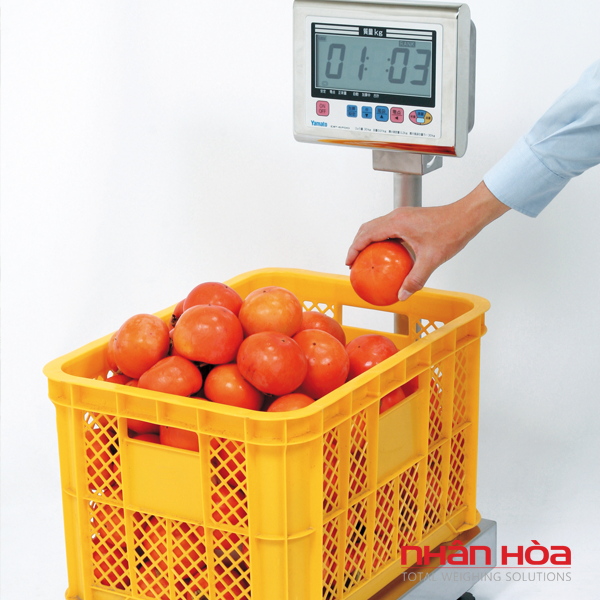 Cân điện tử Đà Lạt