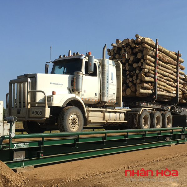 Cân điện tử Đắk Lắk