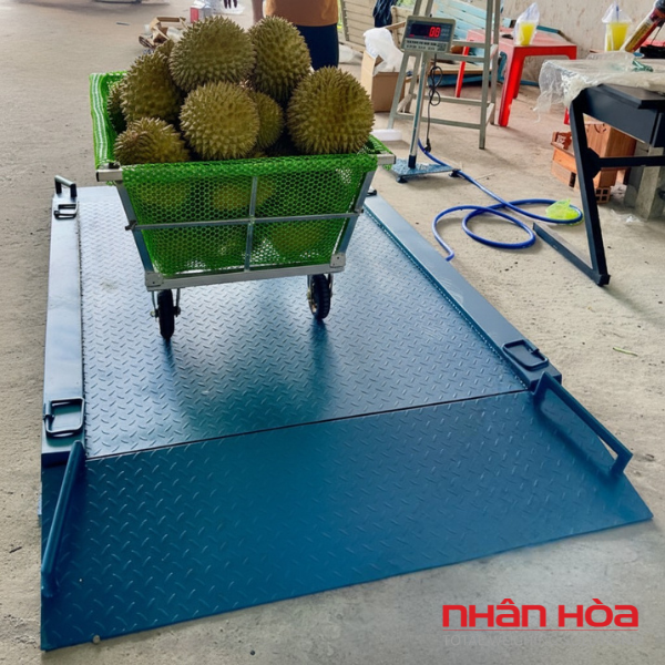 Cân điện tử Đắk Lắk