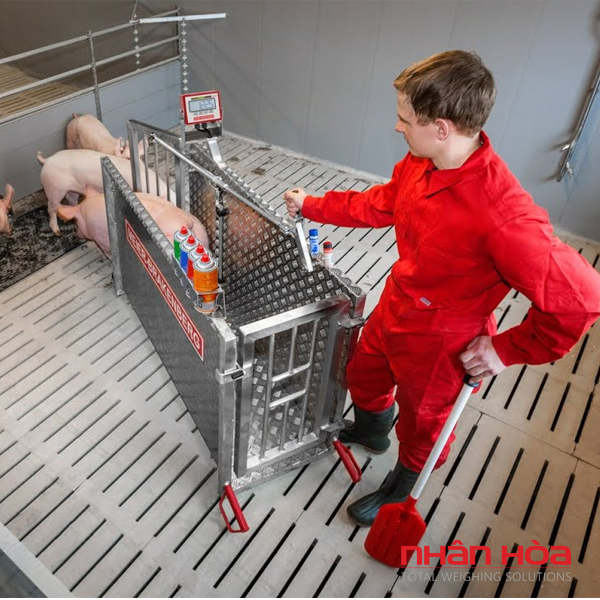 Cân điện tử Đồng Nai