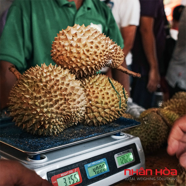  Cân điện tử Gia Lai