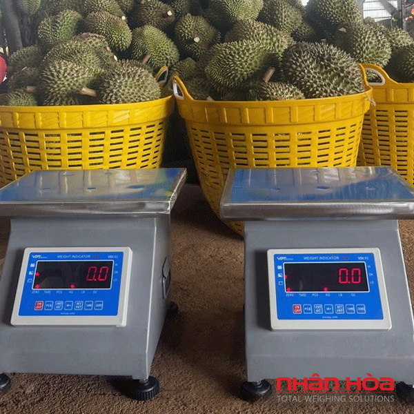  Cân điện tử Gia Lai